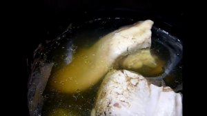 ГОВЯЖИЙ ЯЗЫК. Как быстро сварить и почистить ЯЗЫК для нарезки. Рецепты для скороварки