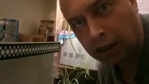 А я не понял, что вы делаете в моем холодильнике? #мем