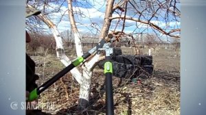 Инструменты для обрезки деревьев и кустарников