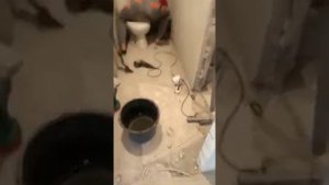 Установка временного унитаза