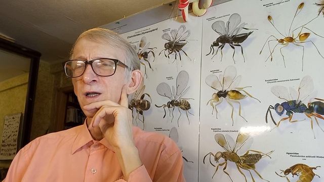 Scientific Entomological Collections & Scientific Entomology Museums in Ukraine and the World.