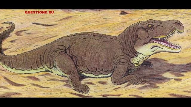 Пермский период или Пермь 299 — 252 млн лет назад