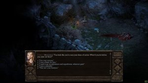 ► Обзор Pillars of Eternity