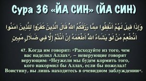 Сура 36 - Йа Син (арабские и русские титры) Мухаммад Люхайдан