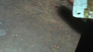 Пищалка 10ГИ 1, ремонт