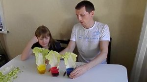 #ЭКСПЕРИМЕНТ КАК ПОКРАСИТЬ В РАЗНЫЕ ЦВЕТА ЛИСТЬЯ КАПУСТЫ