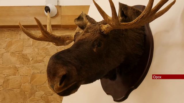 05092022 В Орске открылся банкетный зал премиум класса 1 смотреть онлайн