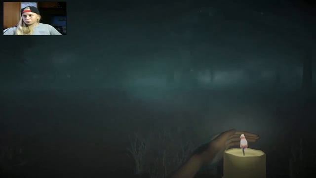 ДЕВУШКА ИГРАЕТ В ХОРРОР - ИГРУ WICK ! смотреть онлайн