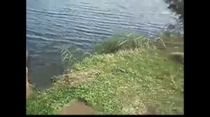 Над родною страной солнышко встает