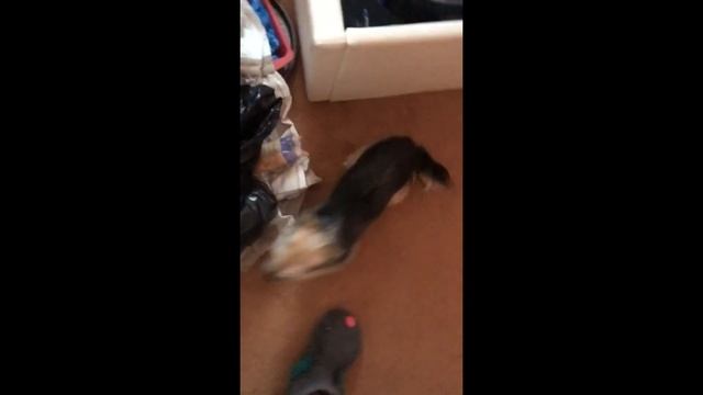 Ах Уехала Жена от Мужа! / Новая Звезда Ютуба / Фестиваль на воде в Leeds / Англия - Harrogate 2019