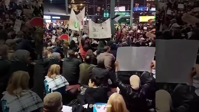Пропалестинские демонстранты устроили акцию протеста в терминале международного аэропорта Амстердама