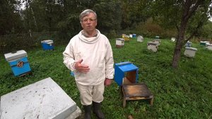 Условия благоприятной зимовки. Улей. Пасека Лаврова