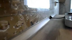 Установка кухонной раковины в столешницу. Установка столешницы.