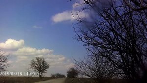 Остановились пописать.