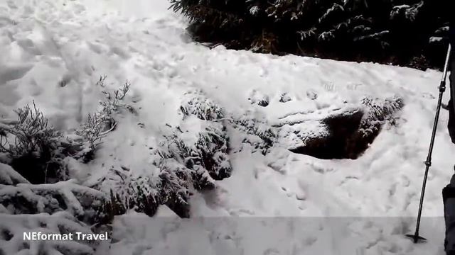 Зимний поход на Говерлу 20.02.2016 День Второй