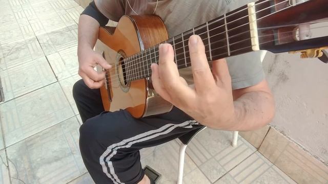 Mazurka em Dó Maior (Sueño) - Francisco Tárrega (1852 - 1909) Violão - Paulo Newton смотреть онлайн