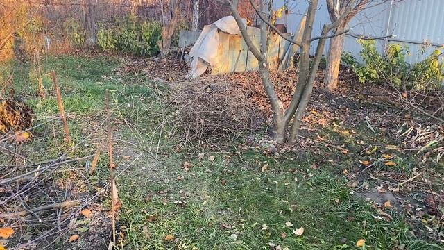 САМАЙН 2021. УБИРАЕМ УРОЖАЙ. ПОЖИНАЕМ ПЛОДЫ. ДАЧА смотреть онлайн