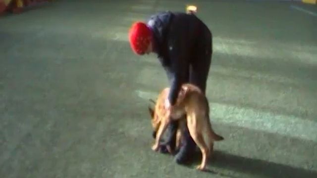 Элла (поза доверия) смотреть онлайн