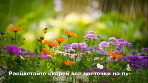 Весенний хоровод С Насауленко