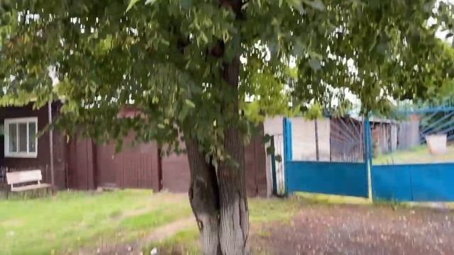 249/Переезд в Россию. Гости хорошо, но званные ! Вот и все ! Хлеб. Ялуторовск, Сибирь ! @gusariha смотреть онлайн