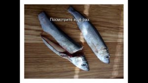 Добрые советы №2 /готовим из мелкой рыбки