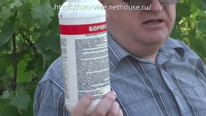Выращивание винограда. Обработка после цветения. Готовим лучшую баковую смесь