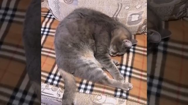 Колыбельная