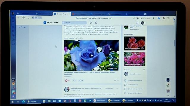 Как продавать растения в интернете. Моя схема продвижения смотреть онлайн
