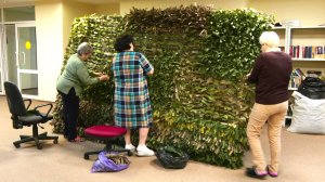 Серебряные волонтеры