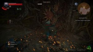 The witcher 3 Хозяйки лесе; беда в деревне Штейгеров