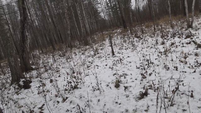 Проверка капканов 2023 г. смотреть онлайн