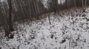 Проверка капканов 2023 г.