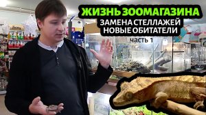 Жизнь зоомагазина Ква-ква: наши новые обитатели и планы на будущее