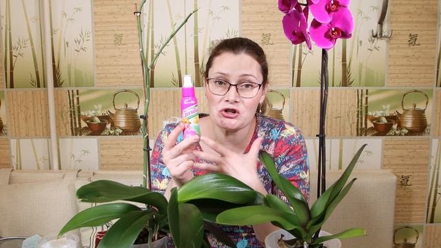 Ваша ОРХИДЕЯ будет цвести круглый год! ПОДКОРМКА для БЕШЕНОГО РОСТА комнатных растений! смотреть онлайн