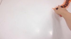 Забавная Игрушка (Сороконожка).  Для детей на Рождество и День Рождения