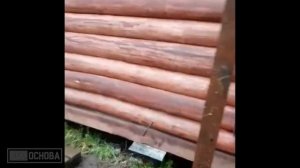 Перенос сруба бани на 2 метра на новый фундамент без двутавровой балки