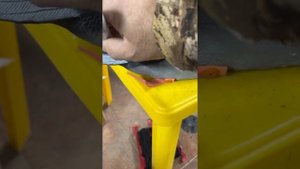 Ремонт чучела кряковой утки при попадании дроби.