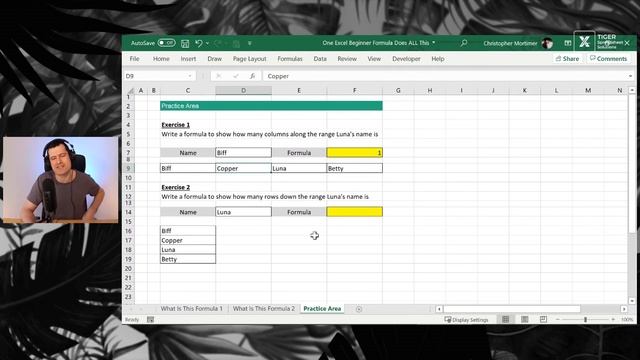 The ONE Excel Beginner Formula That Does ALL This