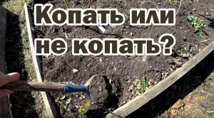Нужно ли каждый раз перекапывать землю?