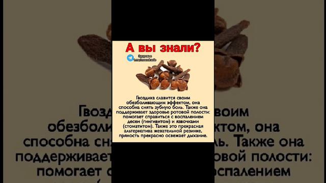 а вы знали о пользе гвоздики!? #народнаямедицина #полезныесоветы #медицина #полезно #здоров #зож