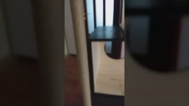 Игровой каскадный домик для мейн-куна смотреть онлайн