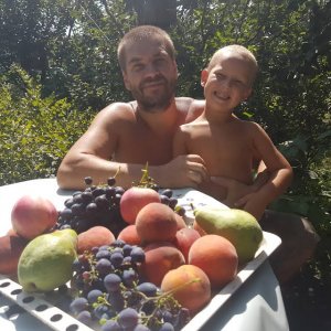Безлидерная формирующая обрезка дерева – груша, четвёртый год, поздний сорт "Русская красавица"