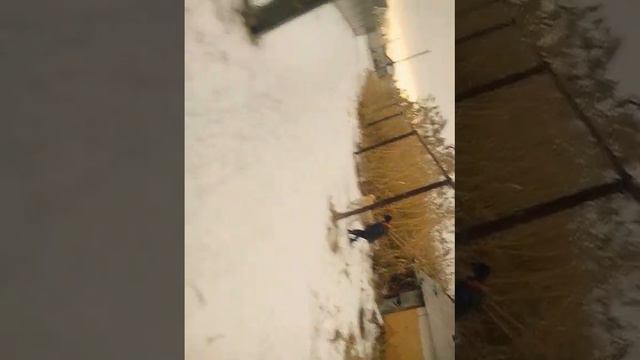 Злая собака хатела забрать телефон смотреть онлайн