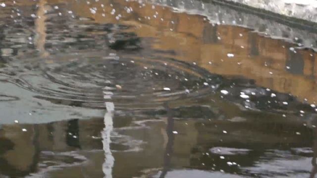 Рыбалка и зарыбление моего небольшого прудика смотреть онлайн