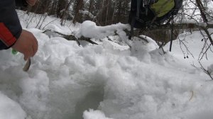 Хариус,переселение душ и разрушение мифов.