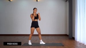 Boxing Basics (Nobadaddiction Knockout Shape Program)