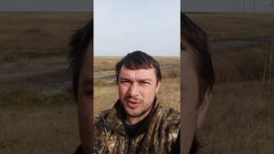 Пашкин пруд. Рыбоводство с нуля.Платная рыбалка.