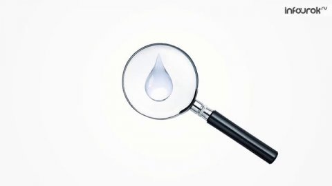 Изобретение микроскопа. Открытие микроорганизмов