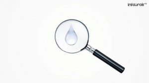 Изобретение микроскопа. Открытие микроорганизмов