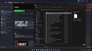 Rust World File Mismatch Fix